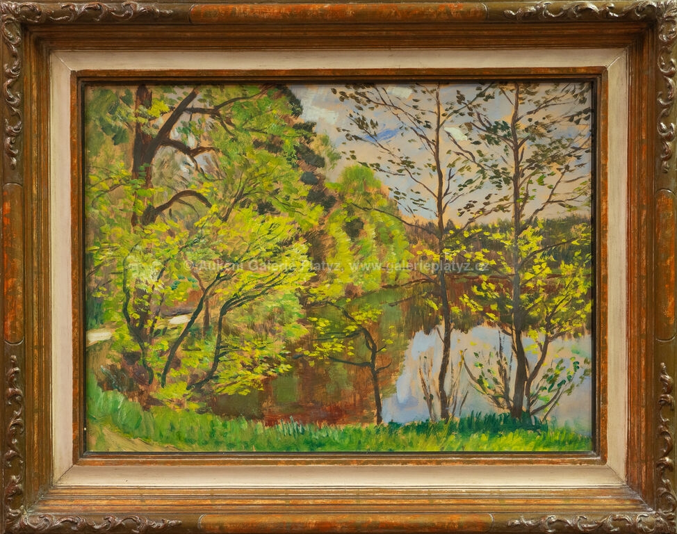 Artwork by Antonín Hudeček, Rybník Landa u Vráže, Made of oil/cardboard