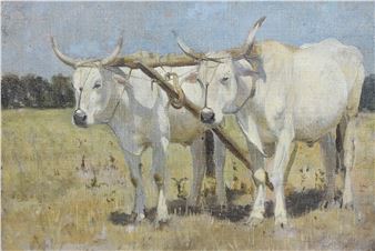 White oxen in ploughing harness - Arthur Lemon