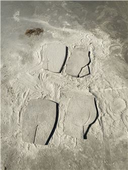 Beach Bodies - Galveston Arts Center