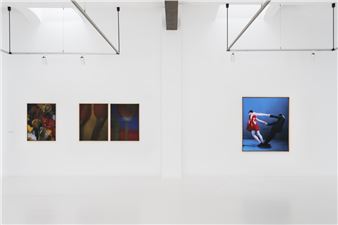 Rala Choi: Like A Blossom - Alzueta Gallery, Barcelona (Sèneca)