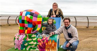 Elmer Elephant Auction Raises £143k for Hospice