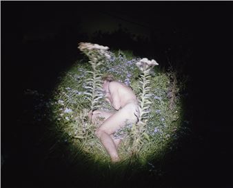 Figurative: The Body as Language - Maine Museum of Photographic Arts (MMPA)