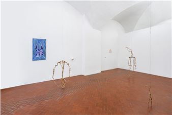 “Sowing the Seed of Care” at FuoriCampo, Orto Botanico dell’Università di Siena, and Museo di Storia Naturale dell’Accademia dei Fisiocritici, Siena