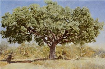 Leigh Voigt: The Allure of our Arboreal Allies - Everard Read/ CIRCA, Johannesburg