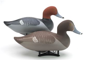 Red heads - Patrick Vincenti