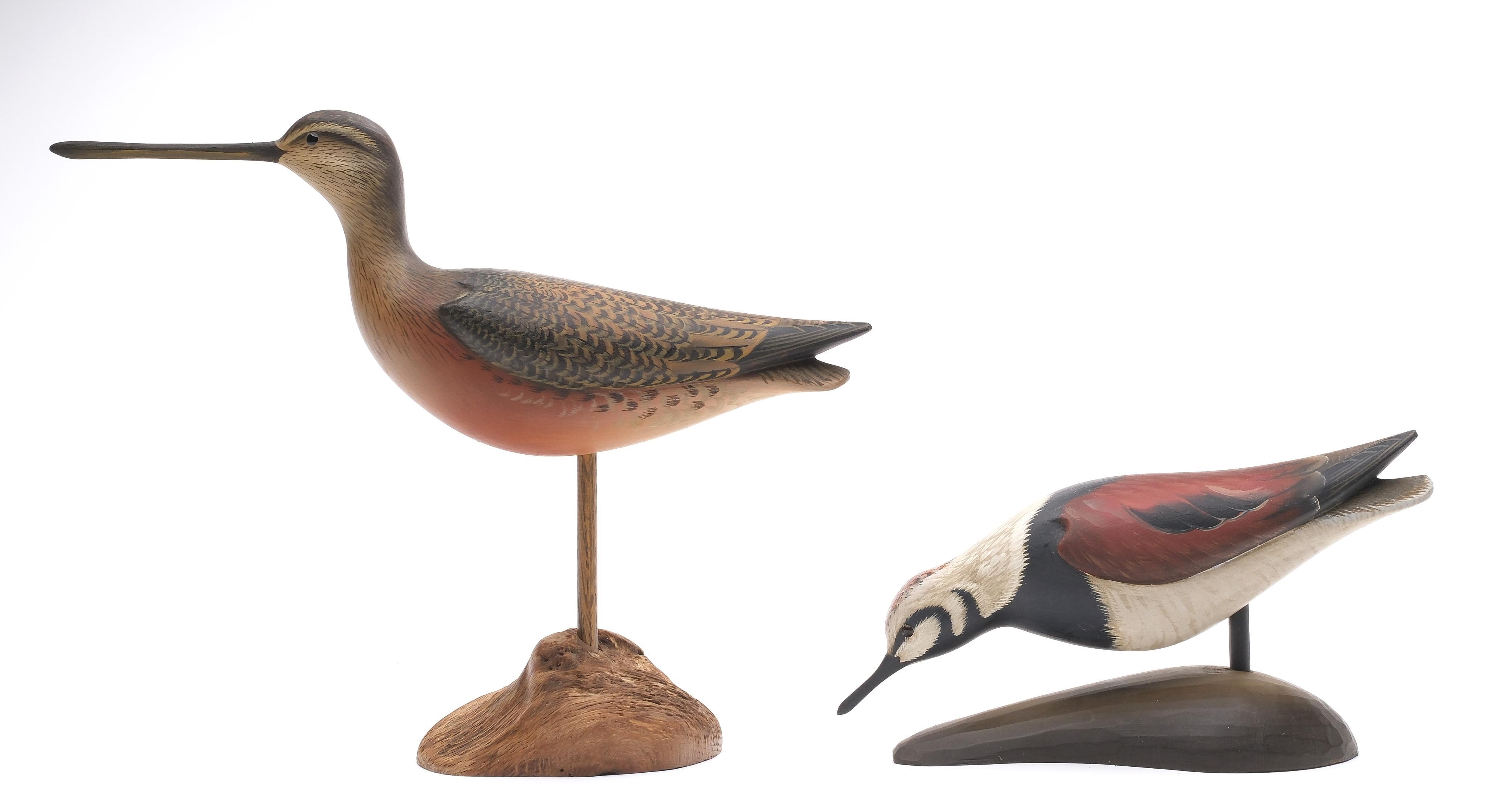 George Strunk | Ruddy turnstone;dowitcher | MutualArt