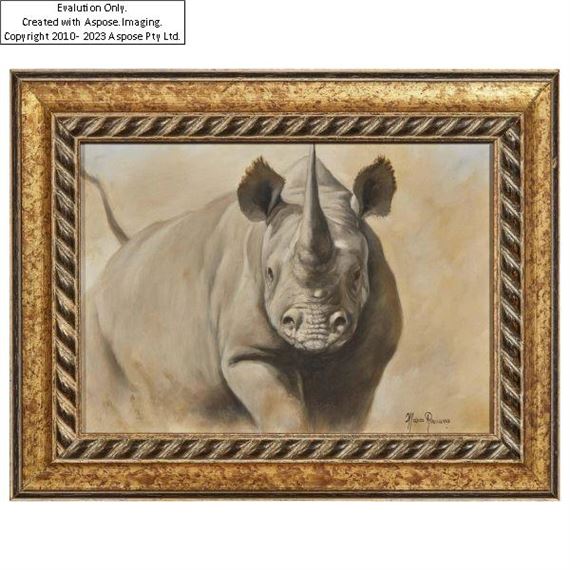 Rhinos - Marco Ramasso