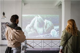 Nature as Affect and Touch