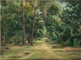 A serene forest path winding through tall trees under dappled sunlight.