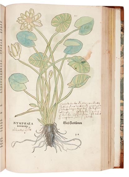 De historia stirpium commentarii insignes, Basel, 1542], extensive early annotations by Leonhart Fuchs, 1542