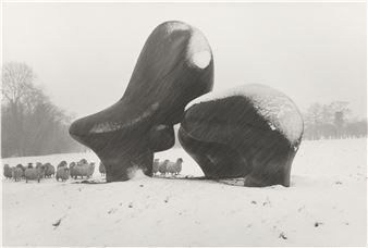 Henry Moore's Sheep Piece - John Loengard