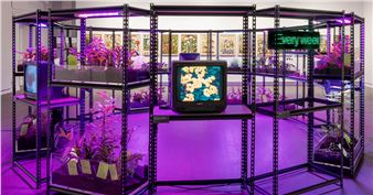 Giselle Beiguelman: Botannica Tirannica - Koffler Centre of the Arts