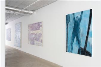 Daniel Balabán: I Wanted to See a Star - White & Weiss Gallery