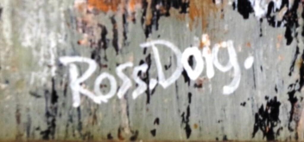 Artwork by Ross Doig, Birds, Made of oil on board