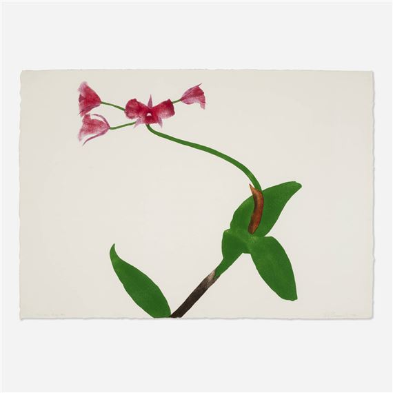 Ed Baynard | Pomegranate Red Orchid (1980) | MutualArt