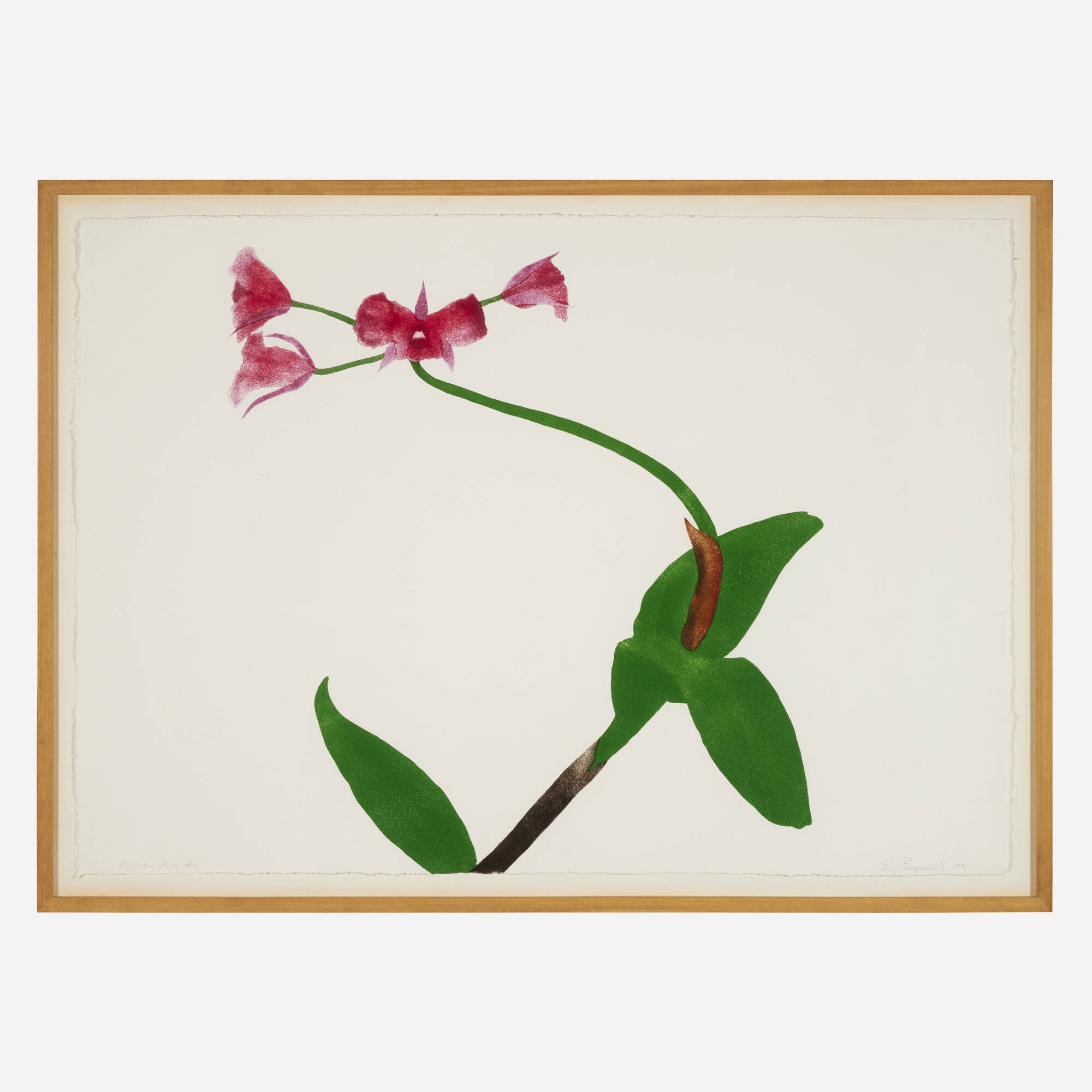 Ed Baynard | Pomegranate Red Orchid (1980) | MutualArt