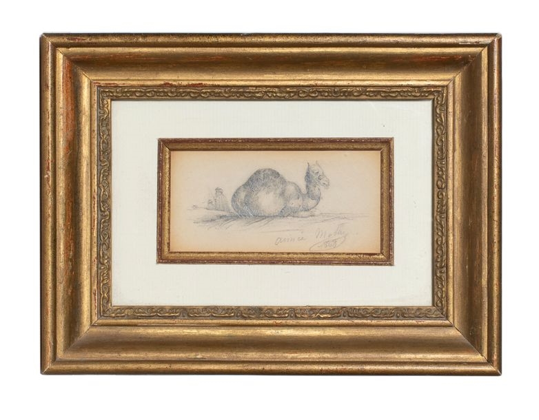 Artwork by Aimée Moth, Dromedary, 1868, Made of Drawing