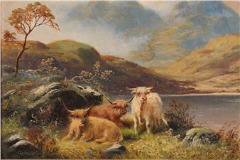 Highland cattle, Loch Voil, Balquidder - Germiston Stewart