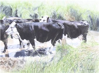 Taking a Paddle - Mary Griese