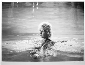 Lawrence Schiller