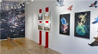 Alexis Kandra and Karolina Kubik: Klucz Ptaków – The Key of Birds - Carter Burden Gallery