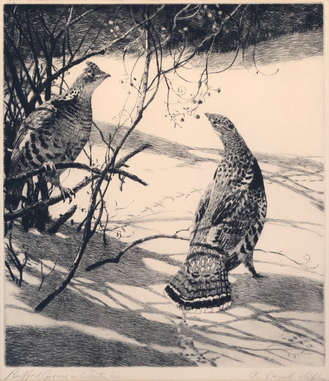 Aiden Lassell Ripley | Ruffed Grouse in Winter | MutualArt