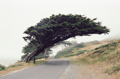 Almanac: Annual Member-Run Exhibition - Gallery 44 Centre for Contemporary Photography