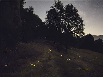 LOOK Photo Biennial 2024: Beyond Sight - Open Eye Gallery, Liverpool