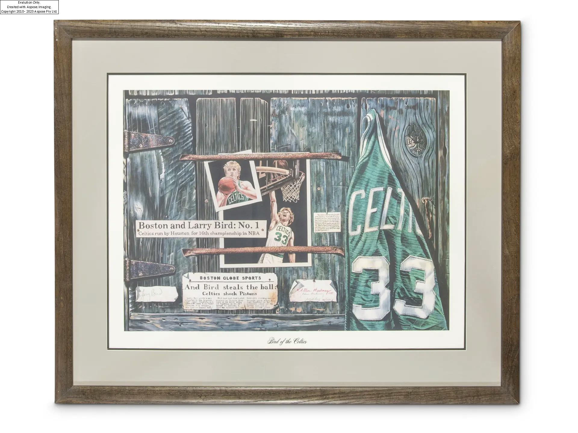 Allen Hackney | Bird of the Celtics Larry Bird (1987) | MutualArt