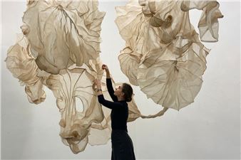 Performance Series: Summer 2024 - Carvalho Park