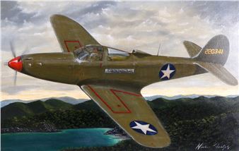 BELL P-39F AIRCOBRA - Nicoleen Meintjies