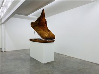 Fraser Anderson: Convertible Dirt - Darren Knight Gallery