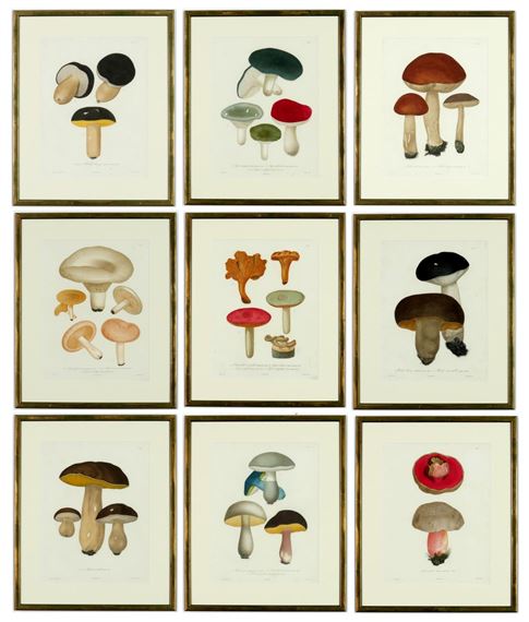 JOSEPH ROQUES, Mushrooms by Joseph Roques, 1864