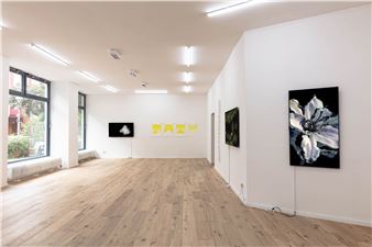 Summer Splash 7 - DAM Projects