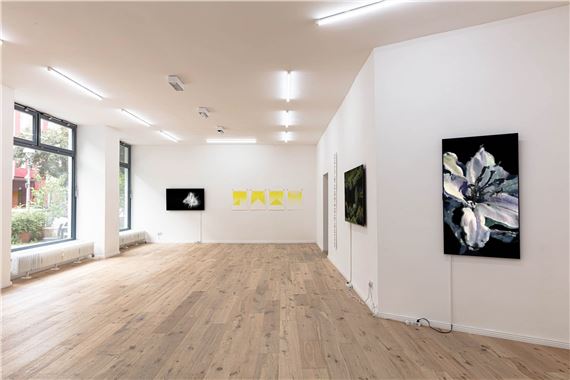 Summer Splash 7 at DAM Projects