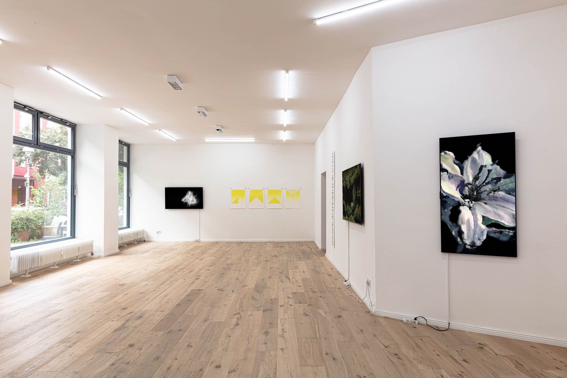 Summer Splash 7 at DAM Projects