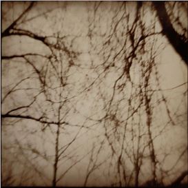 Nancy Rexroth