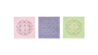 Kerrie Poliness: Non-Objective Wildflowers - Anna Schwartz Gallery, Melbourne