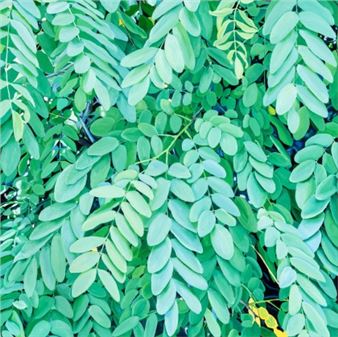 no.30 - Kim JaeHyeon