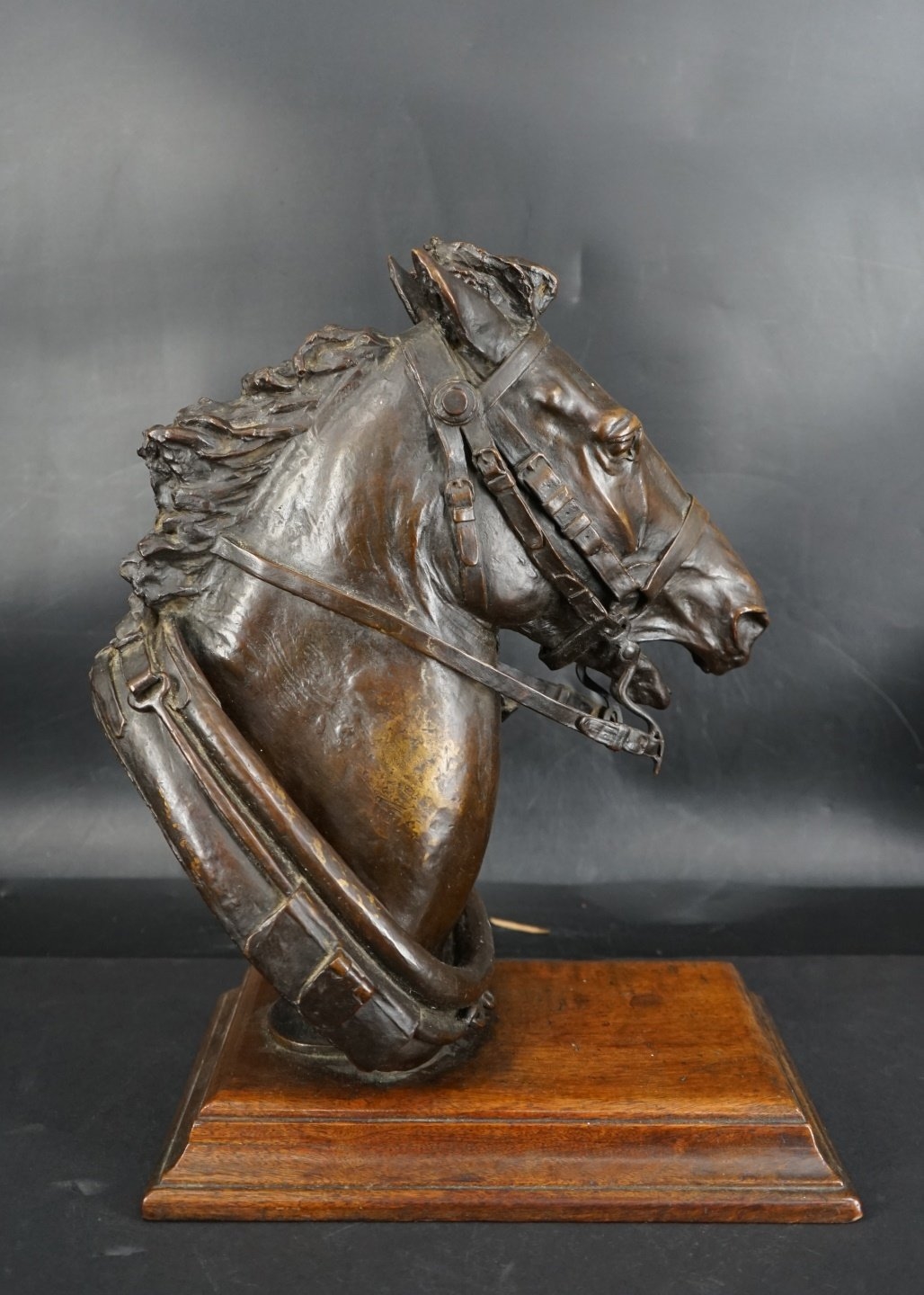 Henry Merwin Shrady | Head of a Horse (1871) | MutualArt