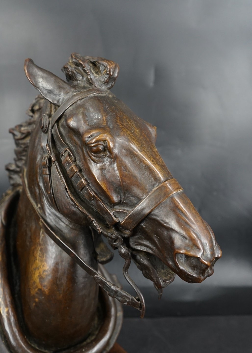 Henry Merwin Shrady | Head of a Horse (1871) | MutualArt