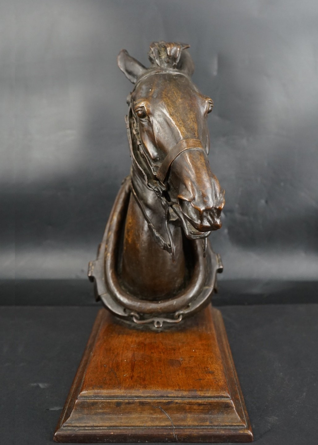 Henry Merwin Shrady | Head of a Horse (1871) | MutualArt