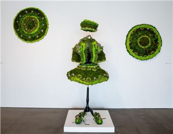 Melissa Meier: Nature’s Masquerade - Lois Lambert Gallery