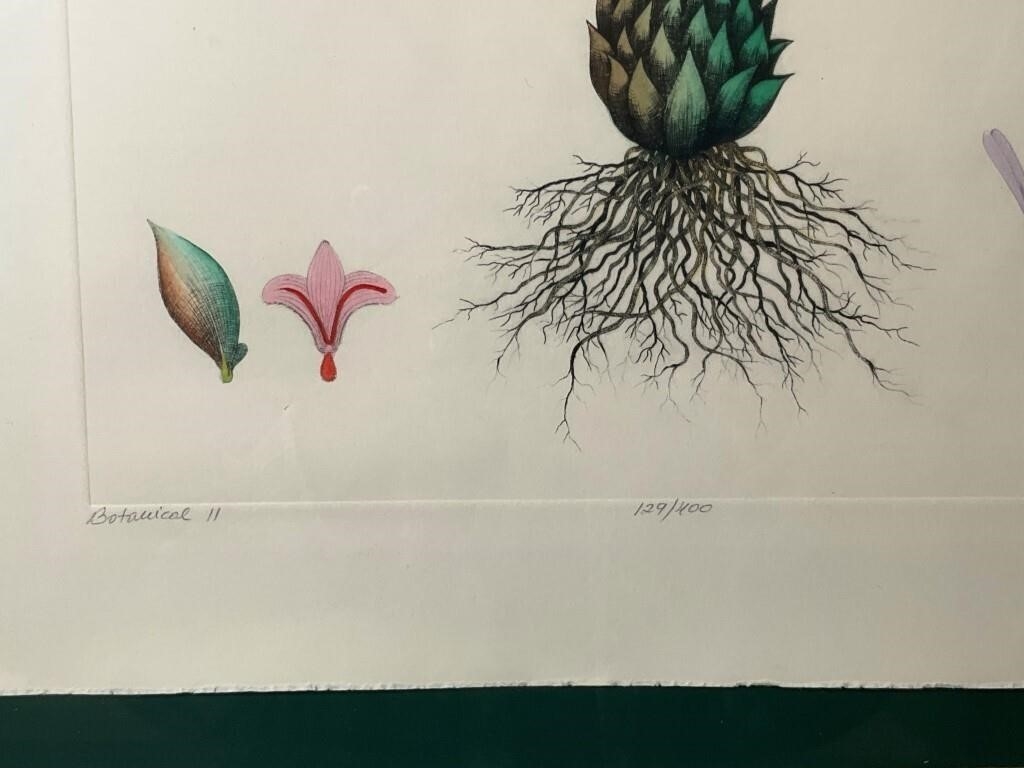 Dan Mitra | Dan Mitra Botanical Print | MutualArt