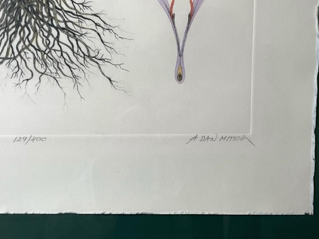 Dan Mitra | Dan Mitra Botanical Print | MutualArt