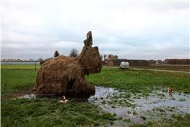 Het Noordbrabants Museum Opens 'Veranderland: How the Landscape Is Changing in the Anthropocene'