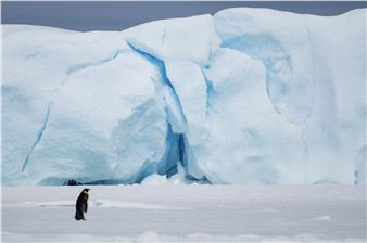 Neil Ever Osborne: Antarctica’s Ice and Shadows - Berenson Fine Art
