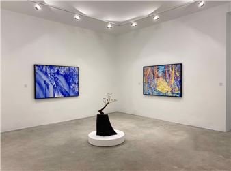 Paris - Galerie Rabouan Moussion