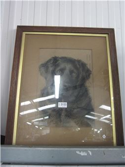 NELWE HADDON: Study in  entitled Duke, monogrammed NH and dated - Nelwe Haddon