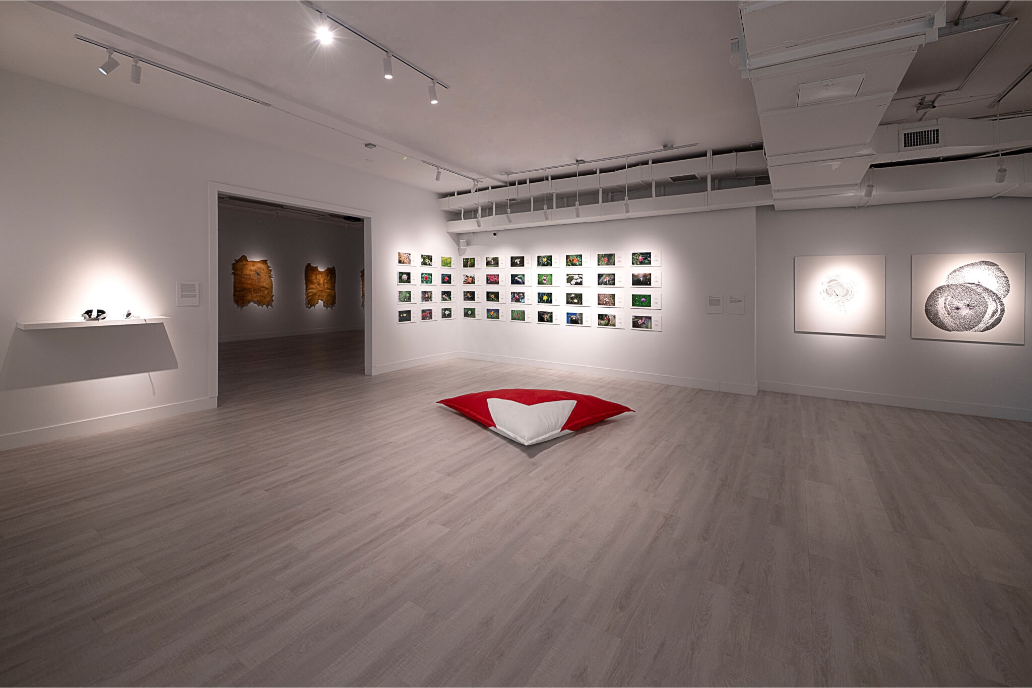 Reynier Leyva Novo & Rodolfo Peraza: Power Interfaces at Zapata Gallery